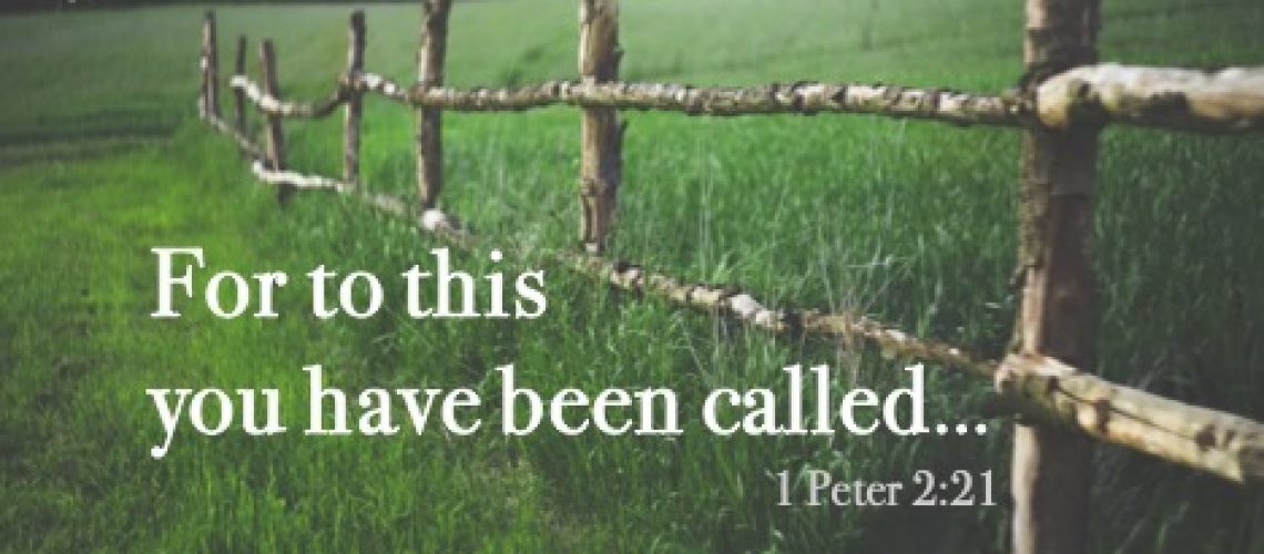 1 Peter 2.21