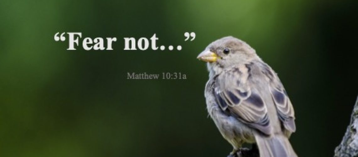 Matthew 10.31