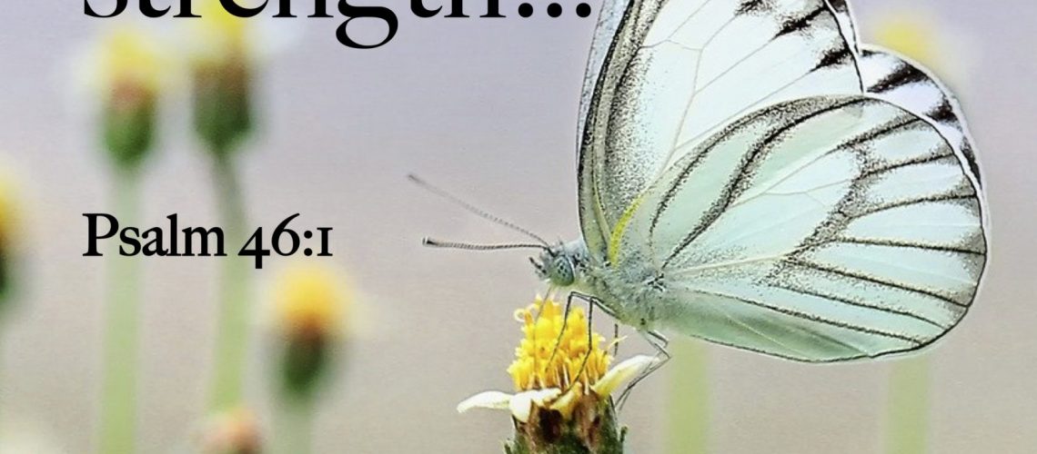 Psalm 46.1 white butterfly